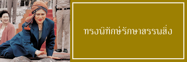 ทรงพิทักษ์รักษาสรรพสิ่ง