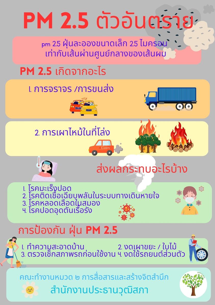 ผลกระทบจากฝุ่น PM 2.5 